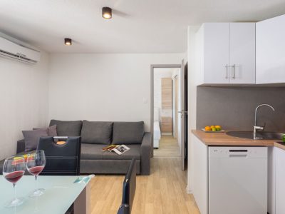 campsite-galeb-mobile-home-sunshine-premium-jacuzzi-interior-kitchen-living-room-i