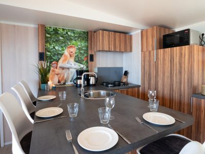 mobile-home-sunlodge-catalpa-interior-kitchen-3