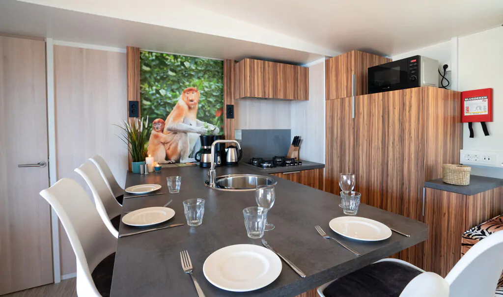 mobile-home-sunlodge-catalpa-interior-kitchen