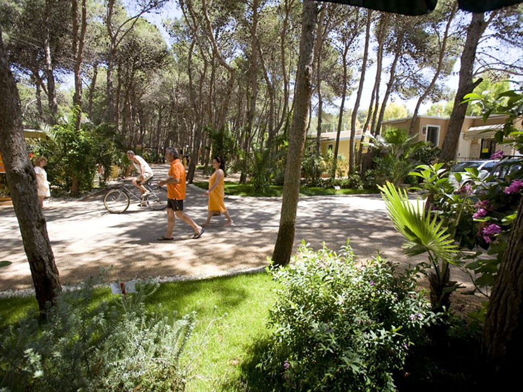 Case mobili nel Camping La Vecchia Torre - Photo 3