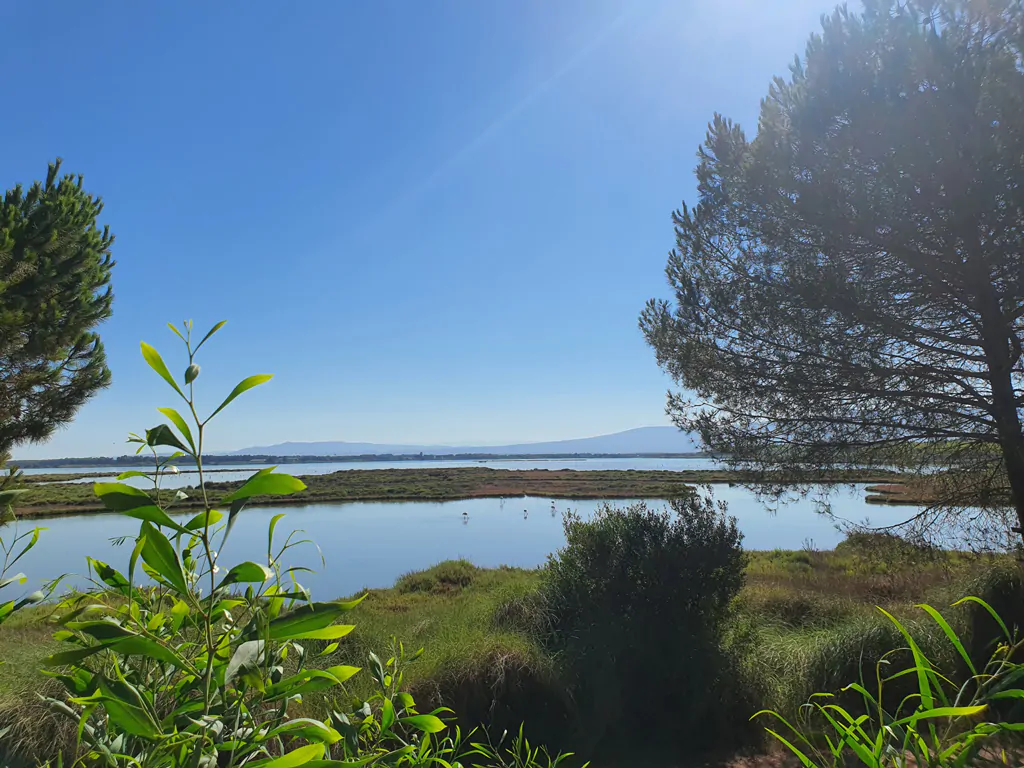 camping-s-ena-arrubia-flamingos-lake